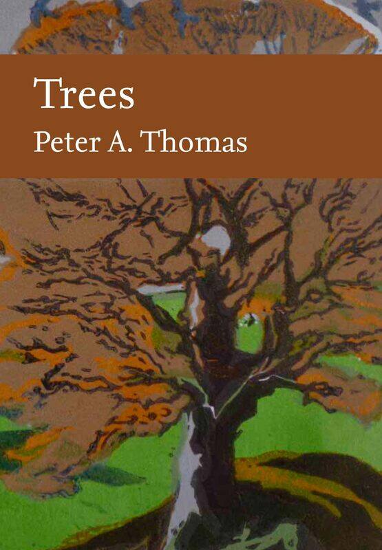 

Trees