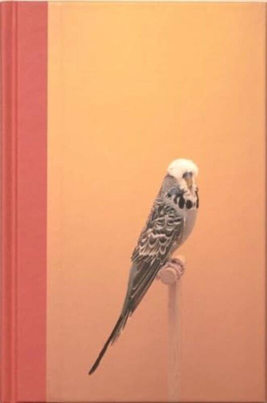 

An Incomplete Dictionary of Show Birds