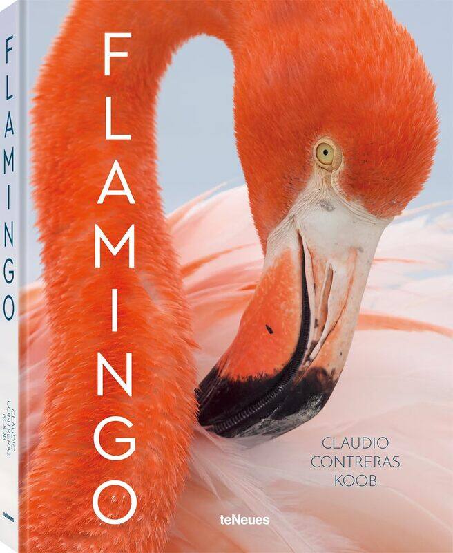 

teNeues Flamingo