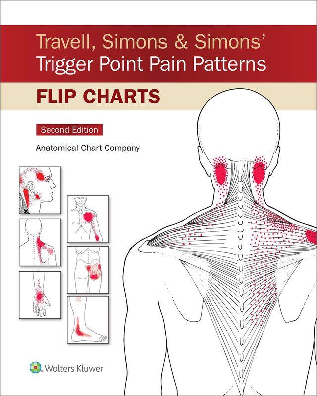 

Travell, Simons & Simons’ Trigger Point Pain Patterns Flip Charts