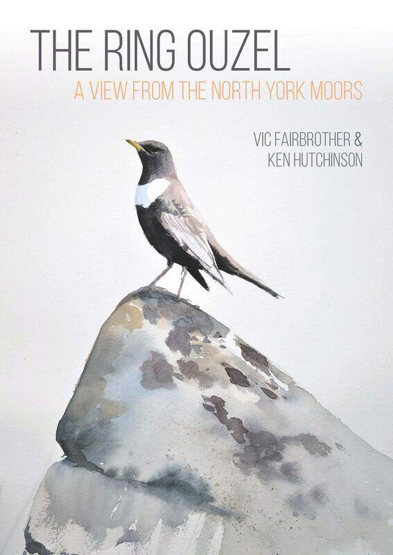 

The Ring Ouzel: A View from the North York Moors