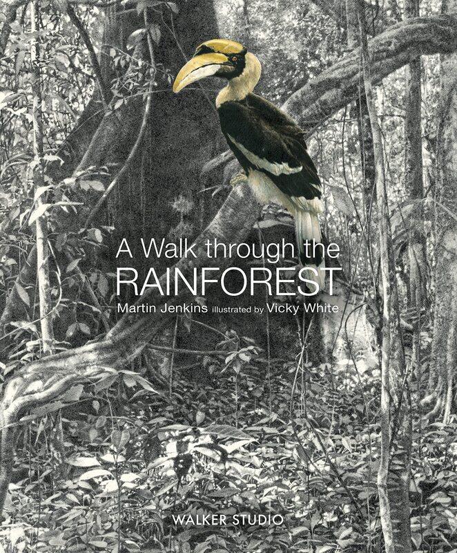 

A Walk Through the Rainforest