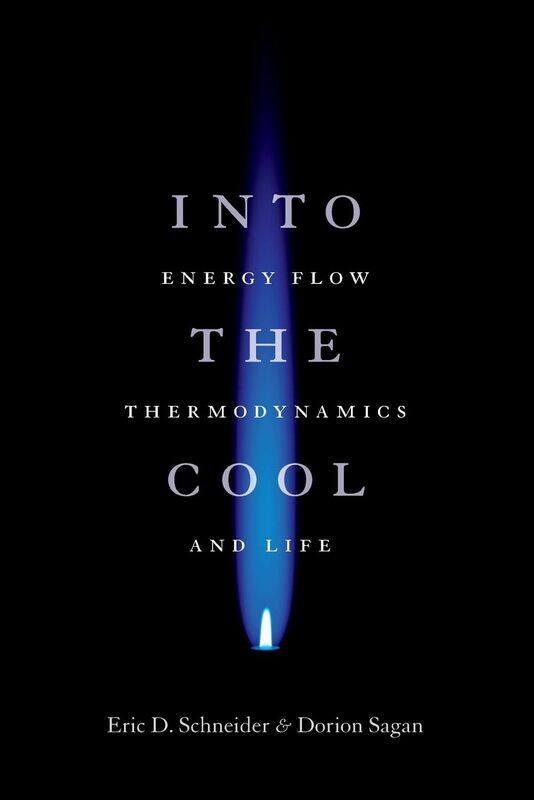 

Into the Cool
