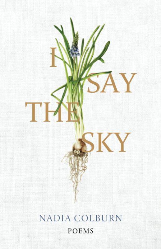 

I Say the Sky: Poems