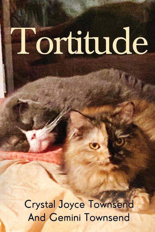 

Tortitude