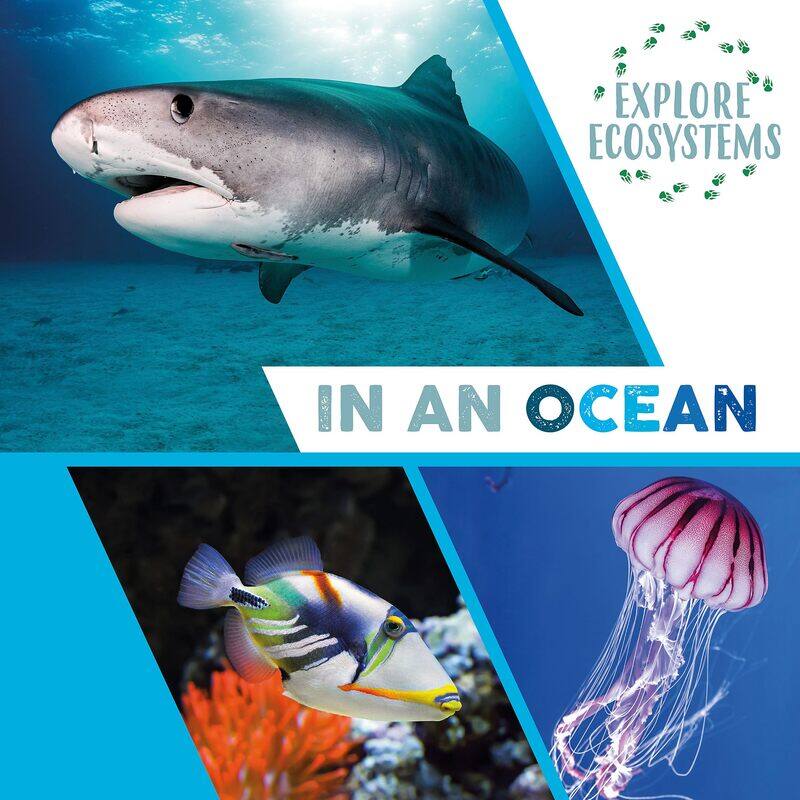 

Explore Ecosystems: In an Ocean