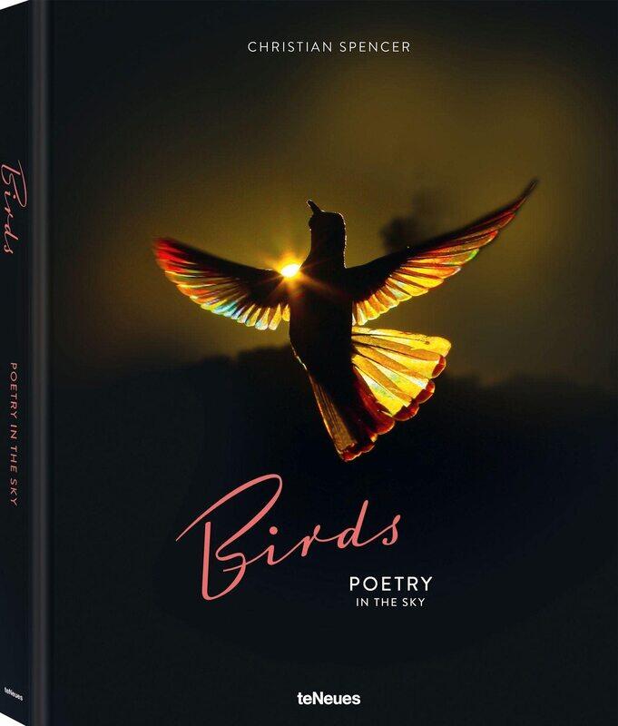 

Birds: poetry in the sky