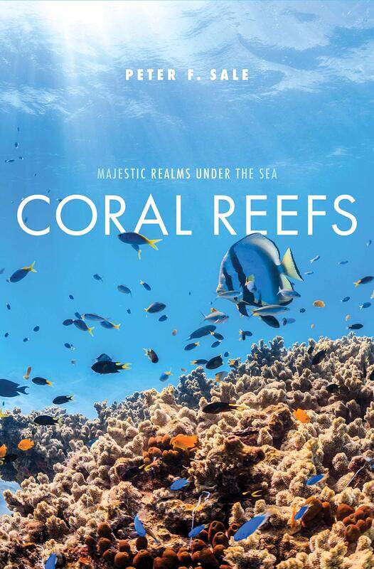 

Coral Reefs: Majestic Realms under the Sea