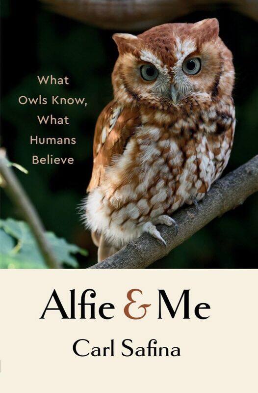 

Alfie and Me: What Owls Know, What Humans Believe