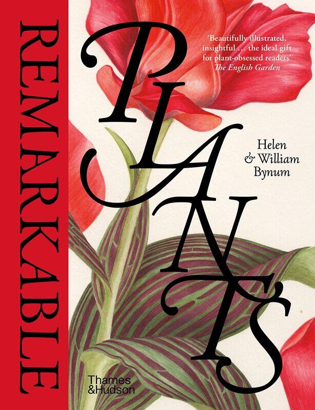 

Remarkable Plants