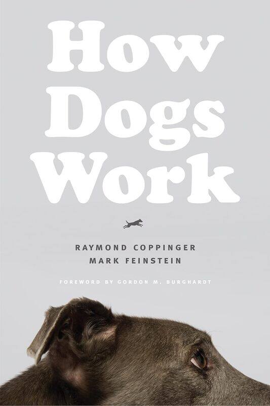 

How Dogs Work