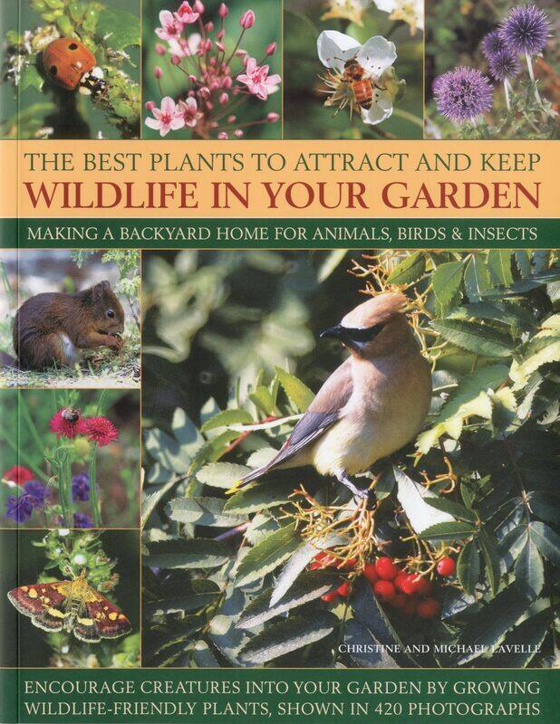 

Best Plants to Attract and Keep Wildlife in the Garden