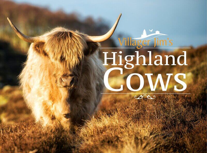 

White Owl Villager Jim's Highland Cows