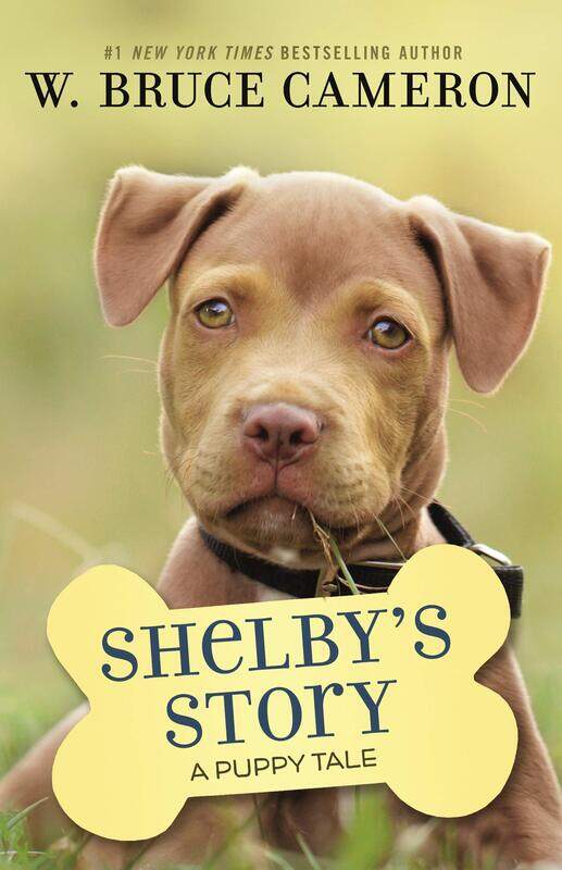 

Shelby's Story: A Puppy Tale