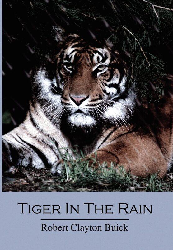

Tiger in the Rain