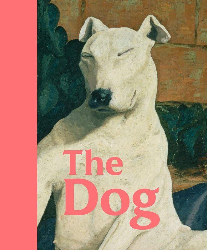 

The Dog