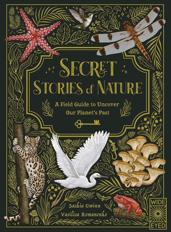 

Secret Stories of Nature: A Field Guide to Uncover Our Planet's Past