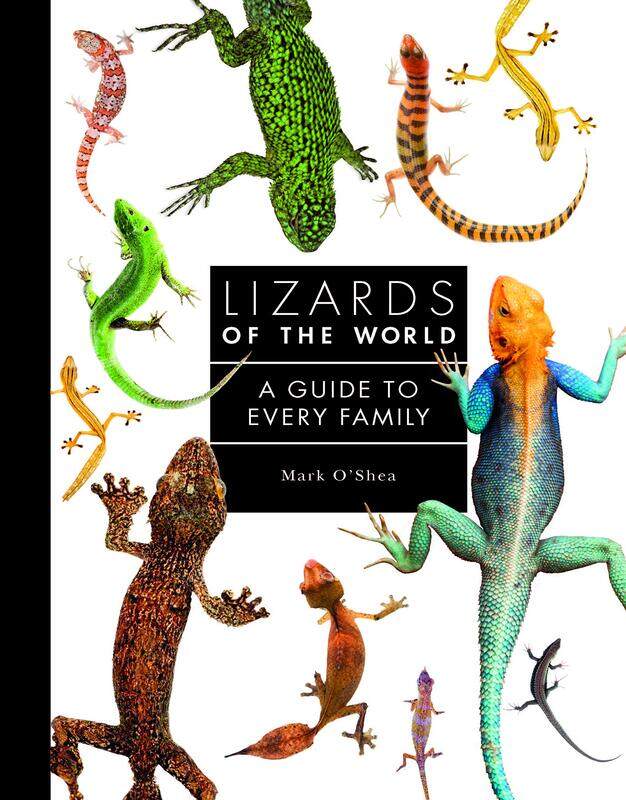 

Lizards of the World: A Guide to Every Family