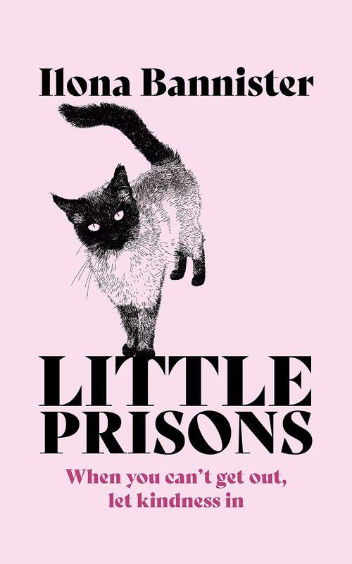 

Little Prisons