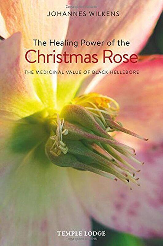 

The Healing Power of the Christmas Rose: The Medicinal Value of Black Hellebore