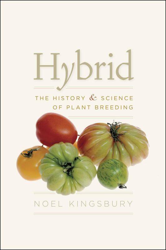 

Hybrid