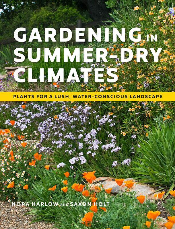 

Gardening in Summer-Dry Climates: Plants for a Lush, Water-Conscious Landscape