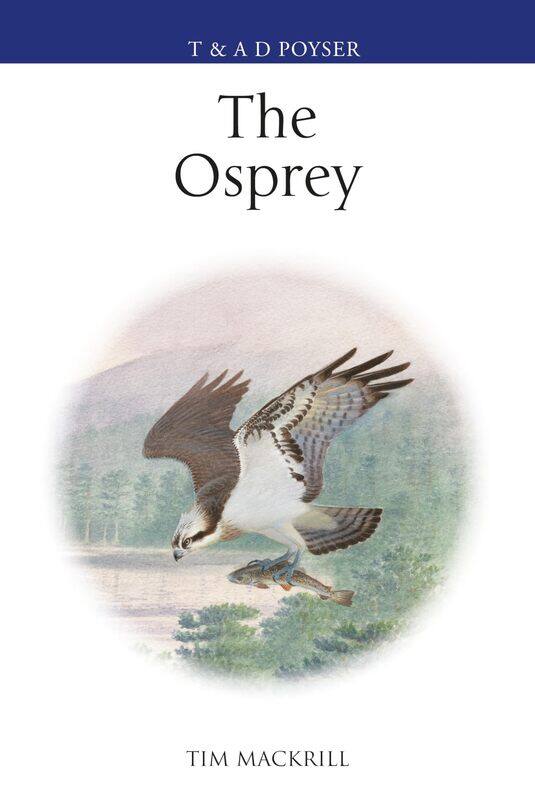 

The Osprey