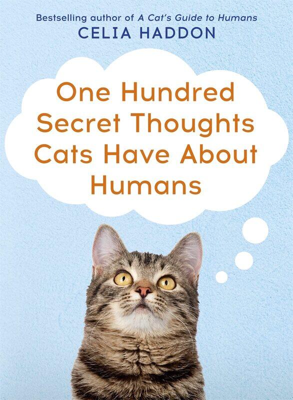 

One Hundred Secret Thoughts Cats have about Humans