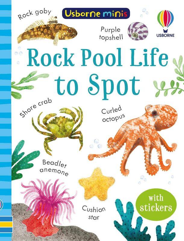 

Rock Pool Life to Spot