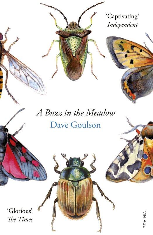 

A Buzz in the Meadow