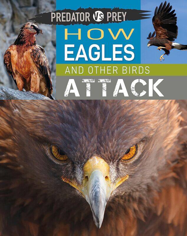 

Predator Vs Prey: How Eagles and Other Birds Attack!