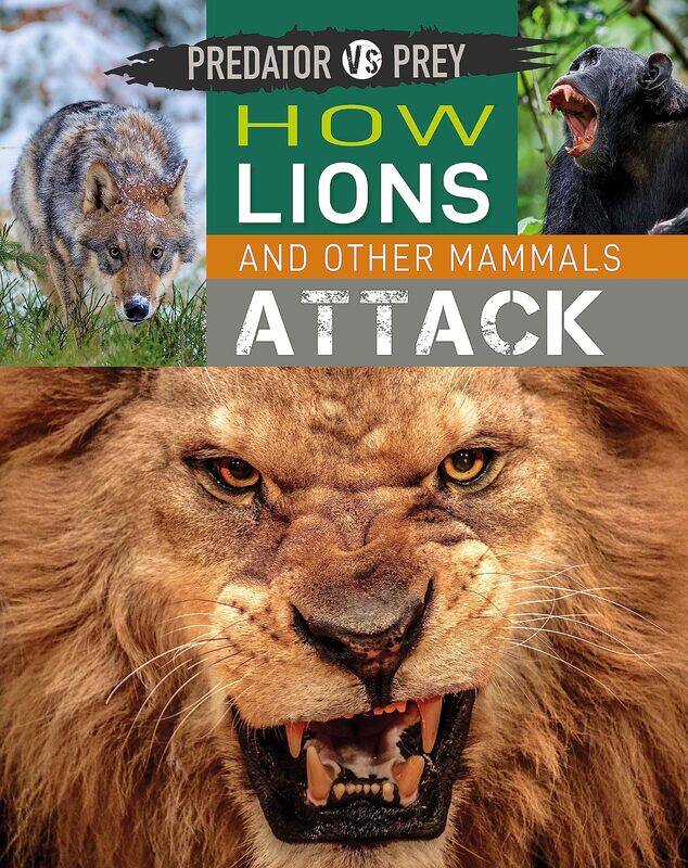 

Predator Vs Prey: How Lions and Other Mammals Attack!