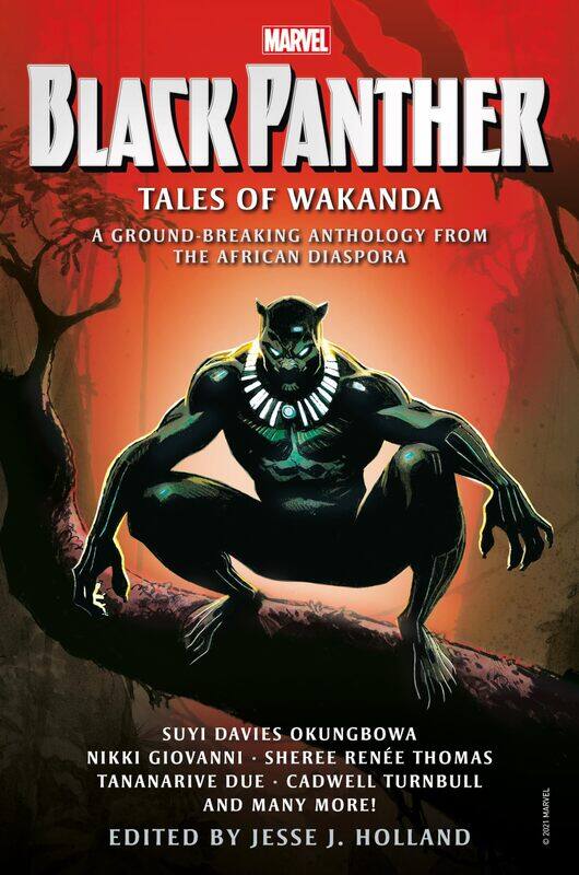 

Titan Books Black Panther: Tales of Wakanda