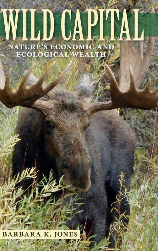 

Wild Capital: Nature's Economic and Ecological Wealth
