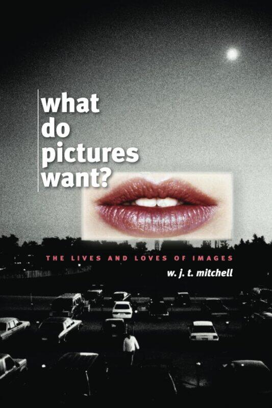 

What Do Pictures Want