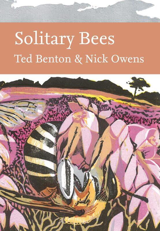 

Solitary Bees: An in-depth exploration of the diverse world of solitary bees