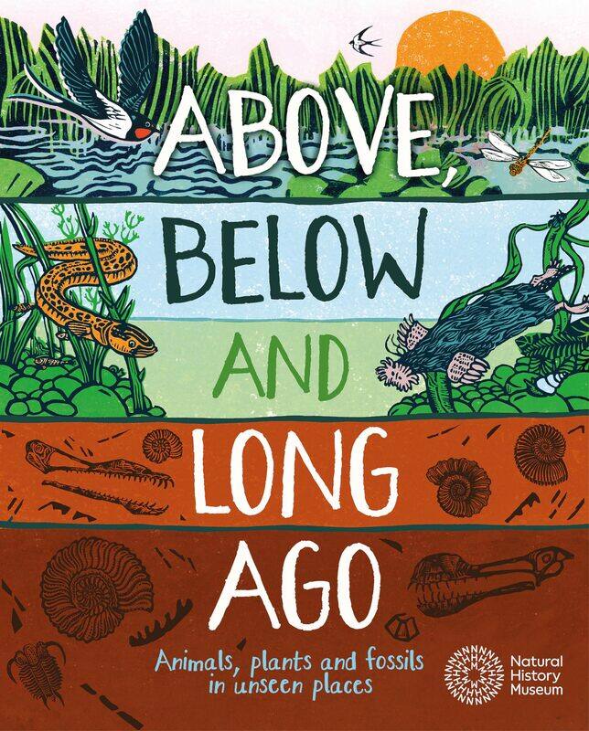 

Above, Below and Long Ago: Animals, plants and fossils in unseen places