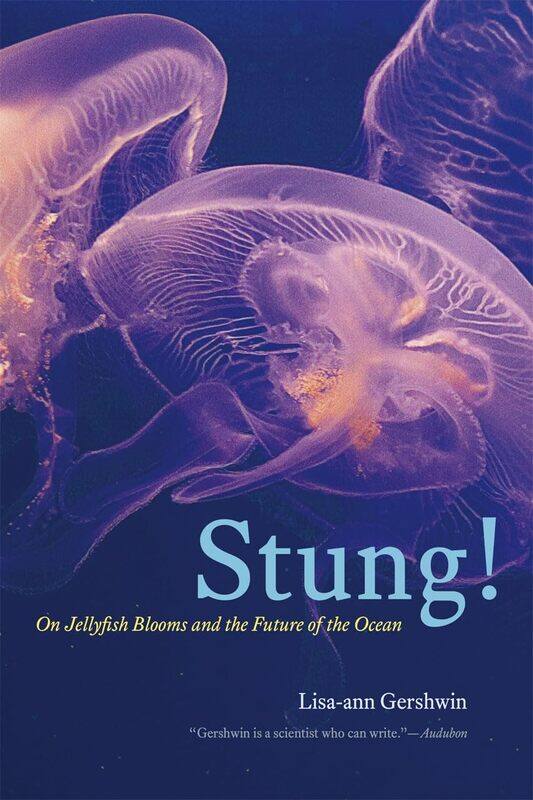 

Stung!