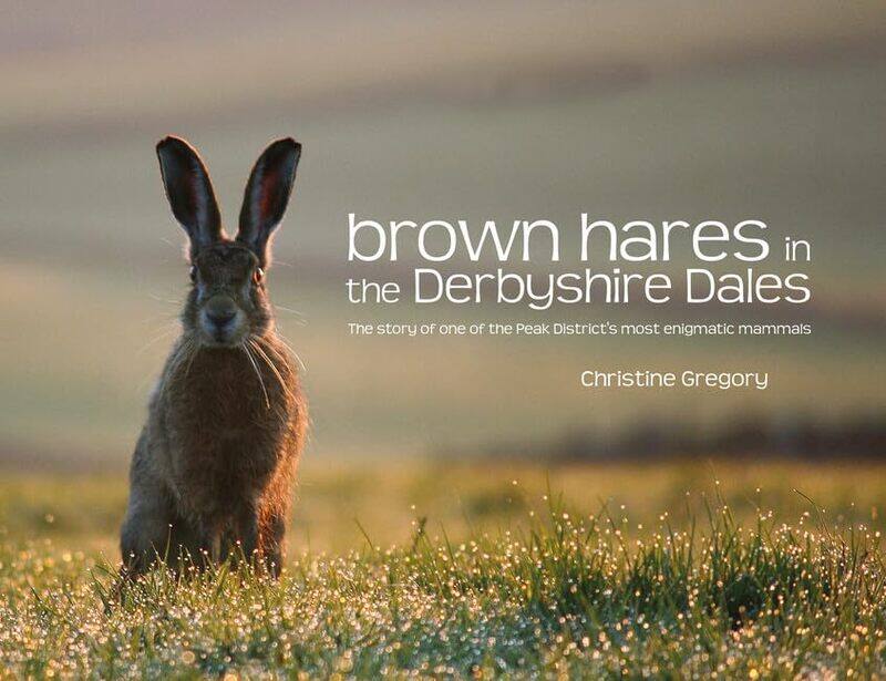 

Brown Hares in the Derbyshire Dales: The Story of One of the Peak District's Most Enigmatic Mammals