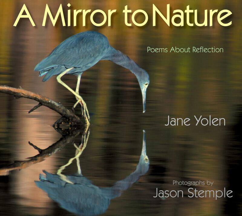 

Mirror to Nature, A: Poems about Reflection