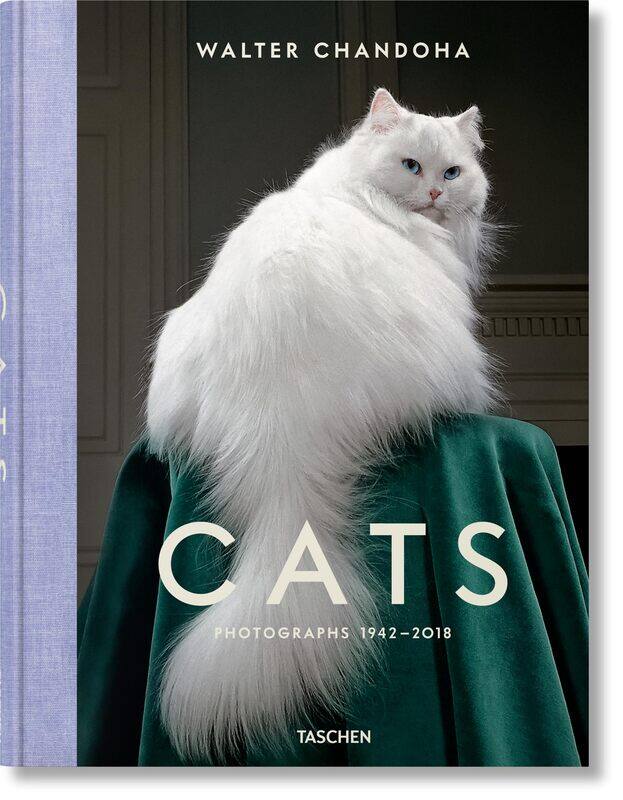 

Walter Chandoha. Cats. Photographs 1942-2018