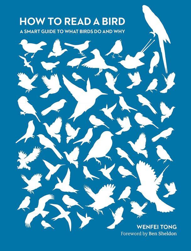 

How to Read a Bird: A Smart Guide to What Birds Do and Why