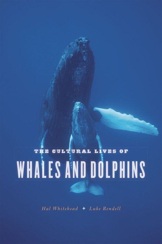

The Cultural Lives of Whales and Dolphins