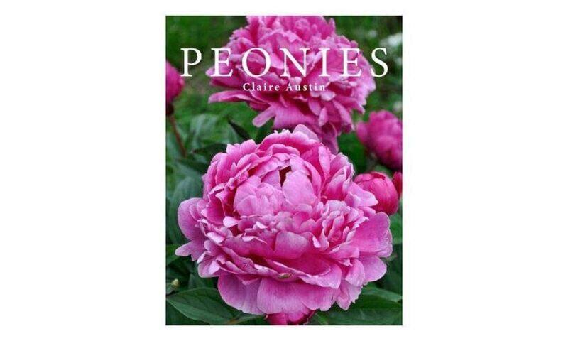 

Peonies
