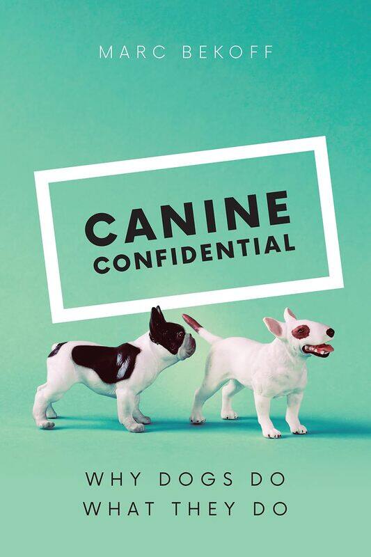 

Canine Confidential: Why Dogs Do What They Do