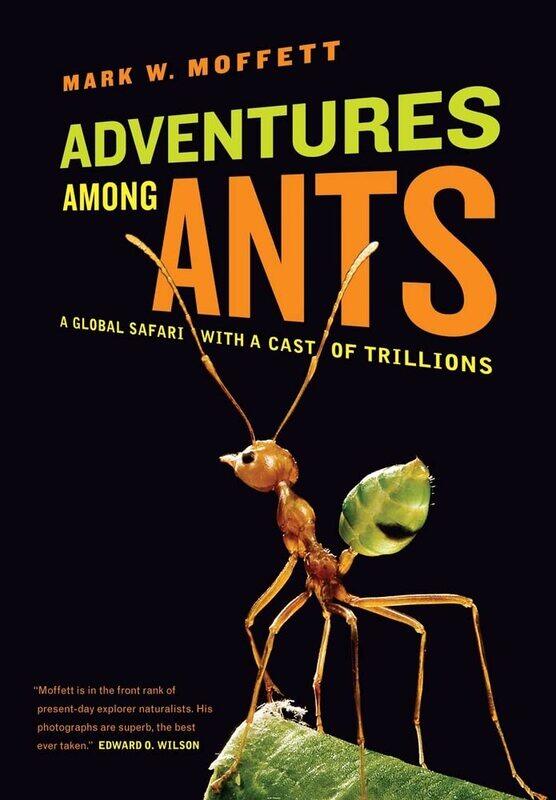 

Adventures among Ants: A Global Safari with a Cast of Trillions