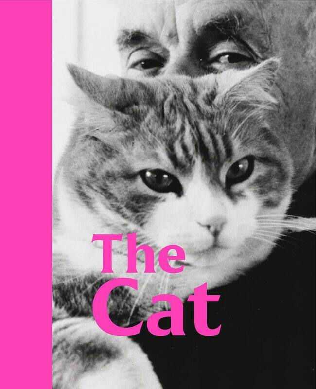 

The Cat