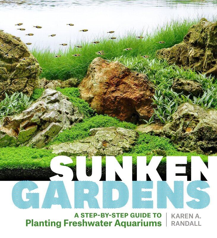 

Sunken Gardens