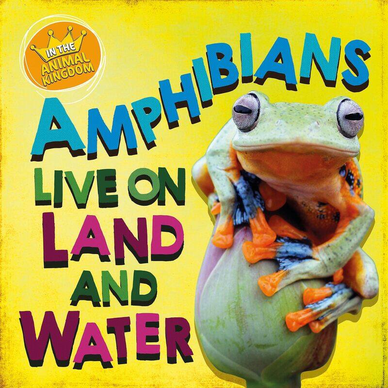 

In the Animal Kingdom: Amphibians Live on Land and in Water