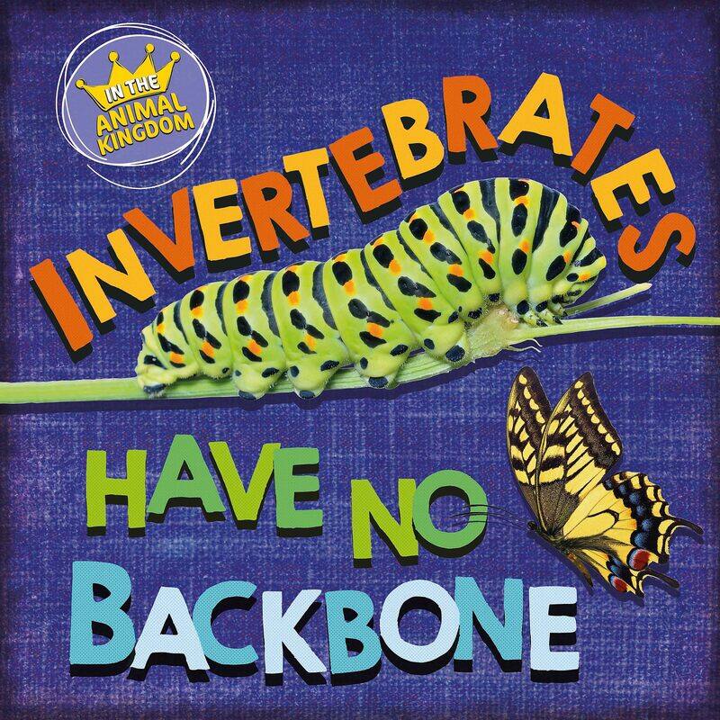 

In the Animal Kingdom: Invertebrates Have No Backbone